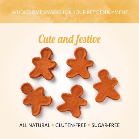 Antos Fairy Gingerbread Man - 80% Chicken Training Treats