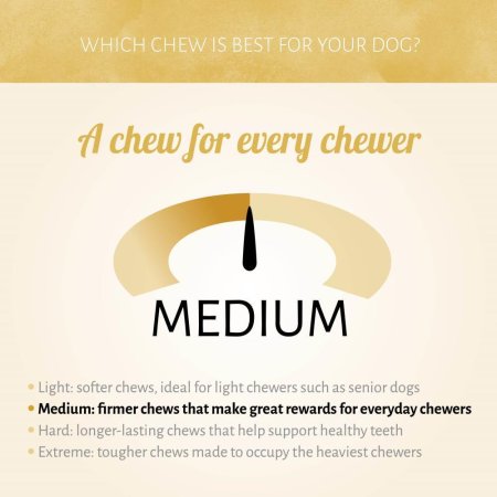 Antos Fairy Gingerbread Man - 80% Chicken Training Treats