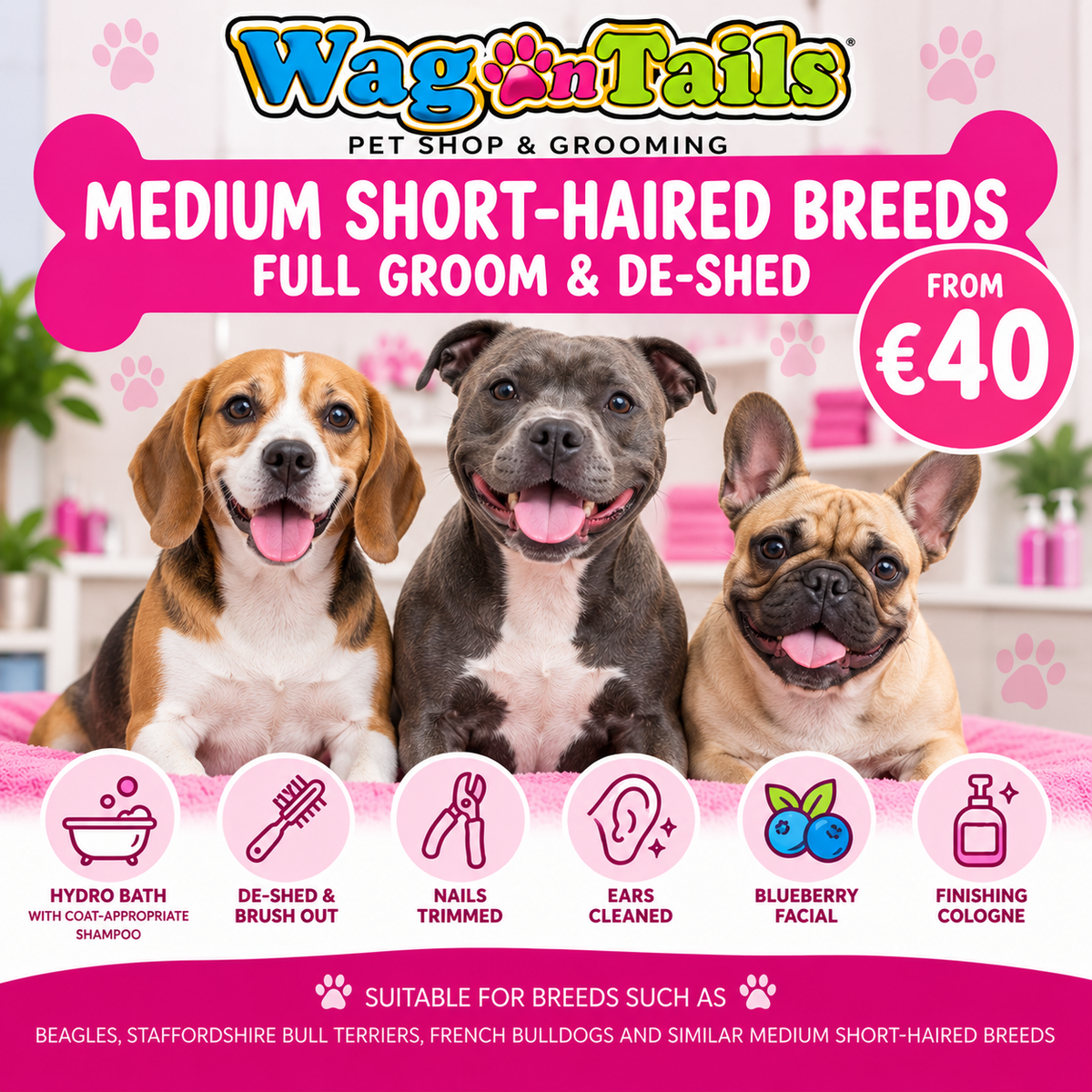 Medium Short Haired - Full Groom & De Shed