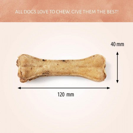 Antos Pressed Bone Pizzle 12 cm