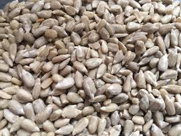 Sunflower Hearts 20kg