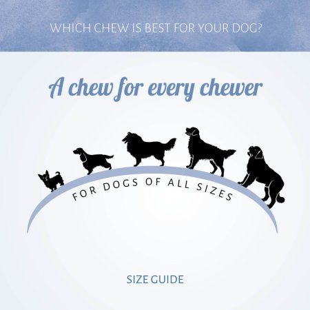 Antos Meaty Collection