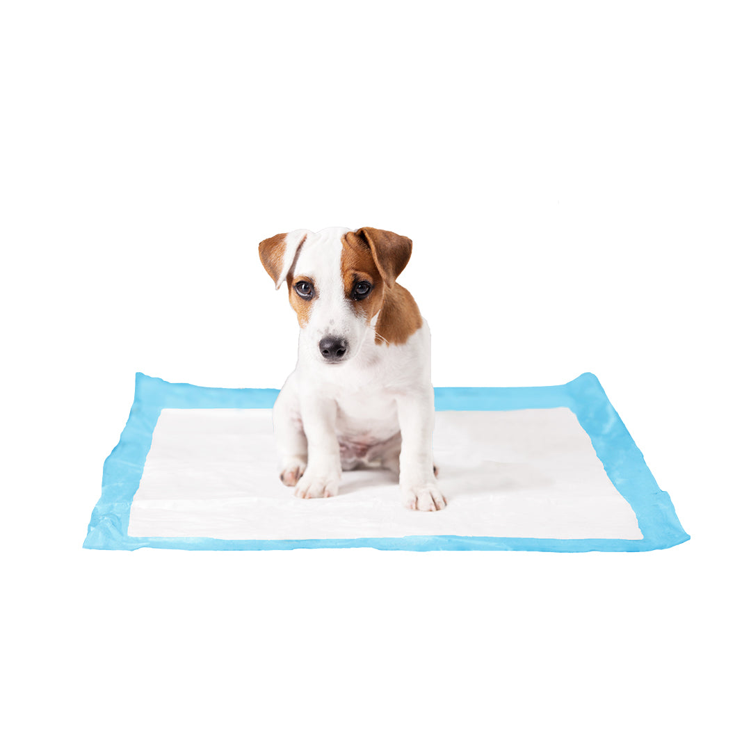 Duvo+ Puppy Training Mat XL 60x60cm