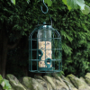 Wild Bird Crow Proof Seed Feeder