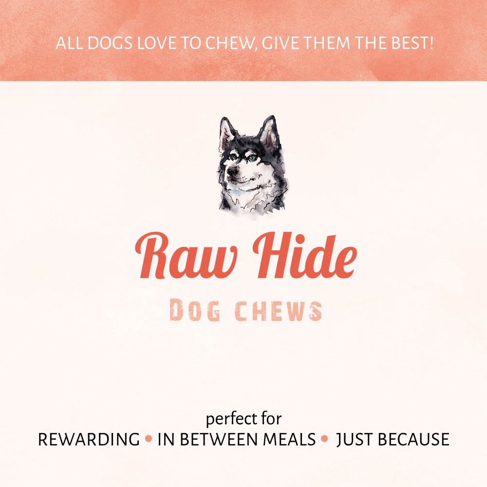 Antos Pressed Bone Pizzle 21 cm