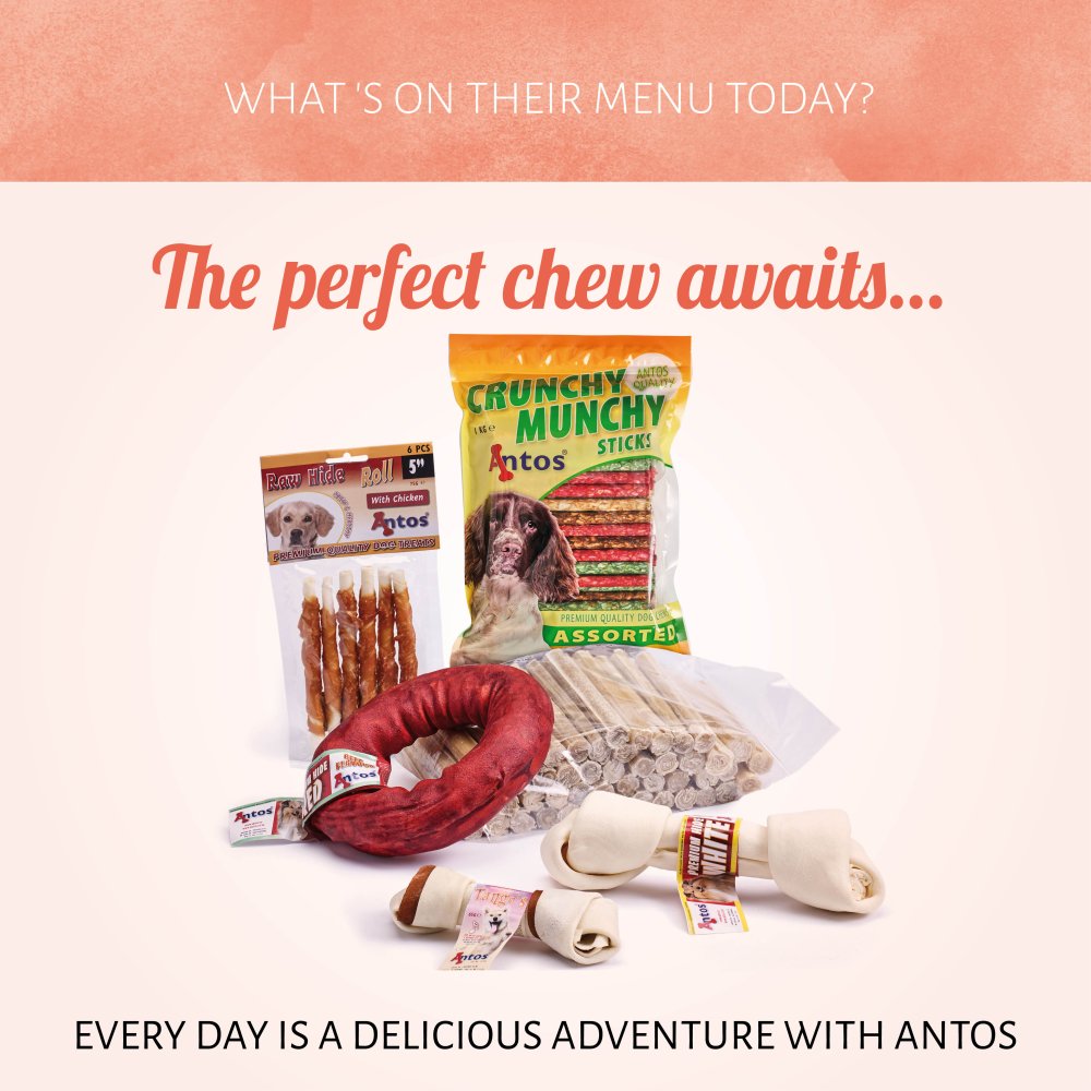 Antos Pressed Bone Pizzle 12 cm