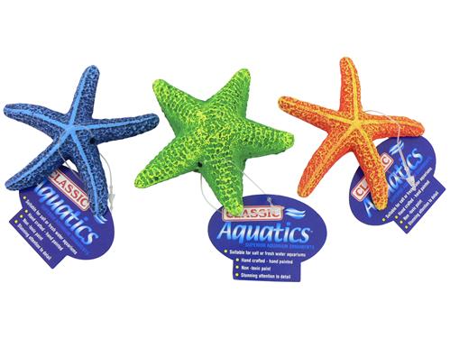 Starfish Assorted 3.5"
