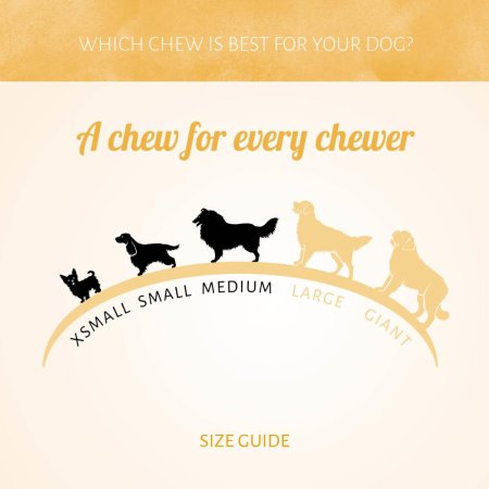 Antos Sweetieland Candy Cane