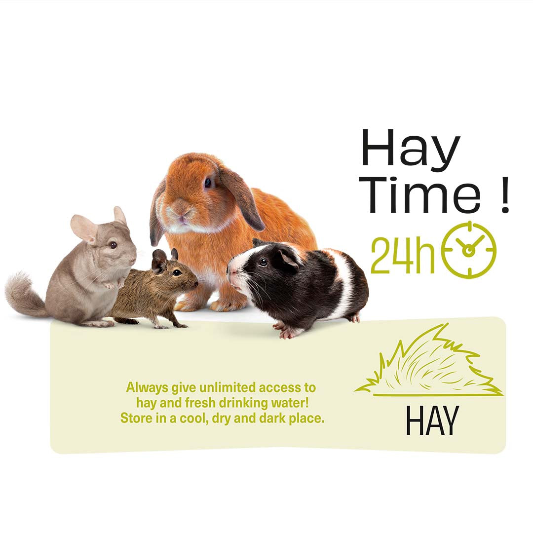 Puur Timothy Hay With Herbs 500g