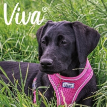 Ancol Viva Comfort Mesh Dog Harness Pink