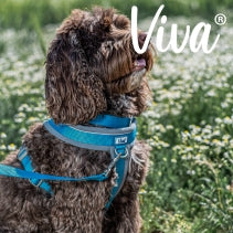 Ancol Viva Padded Harness Blue