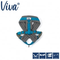 Ancol Viva Padded Harness Blue