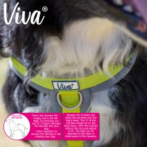 Ancol Viva Padded Harness Red