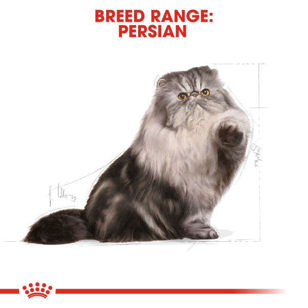 Royal Canin Cat Adult Persian