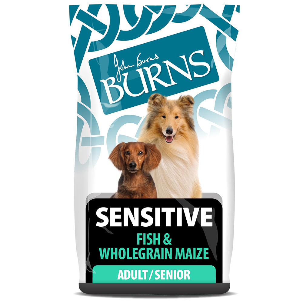 Burns Sensitive Fish Adult Dog Food 2kg