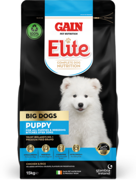 Gain Big Dog Puppy Food 3kg