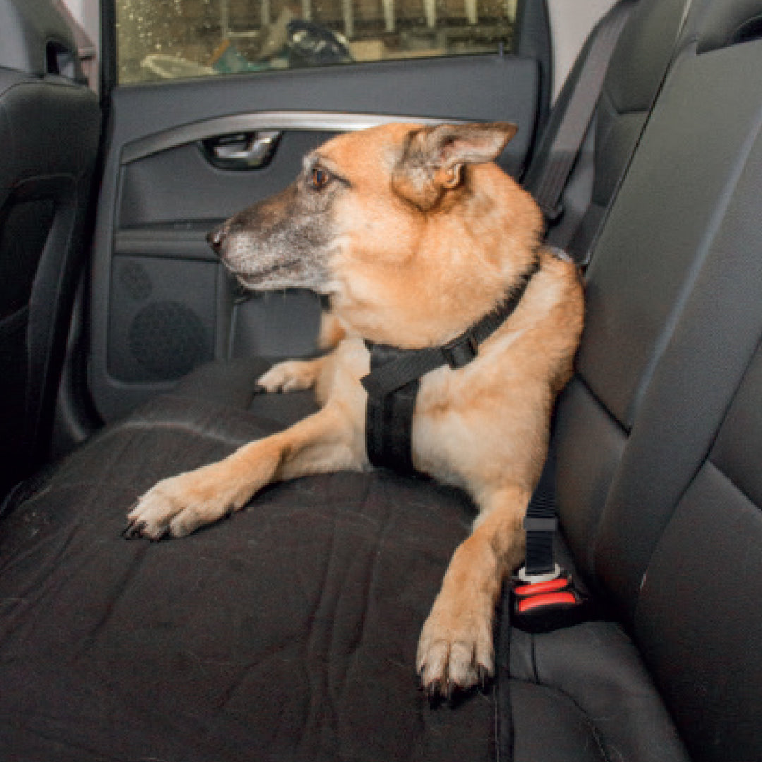Car Dog Safety Belt harness 70-95cm