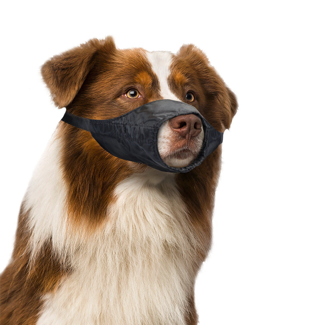 Dog muzzle nylon 53-77cm