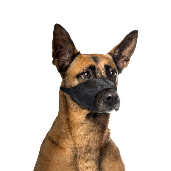 Nylon dog muzzle store