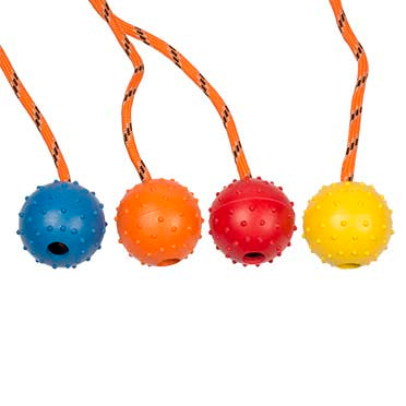 Rubber Dental Ball With Rope Mix 33cm mixed colors