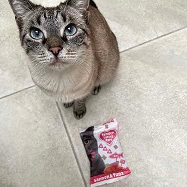 Soft cat snack Salmon & tuna 50g