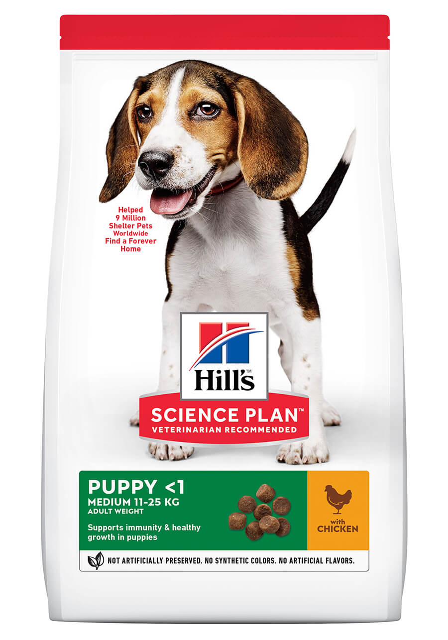 HILL'S SCIENCE PLAN Puppy Medium Dry Dog Food Chicken Flavour - 14kg - Wag n Tails Pet Shop