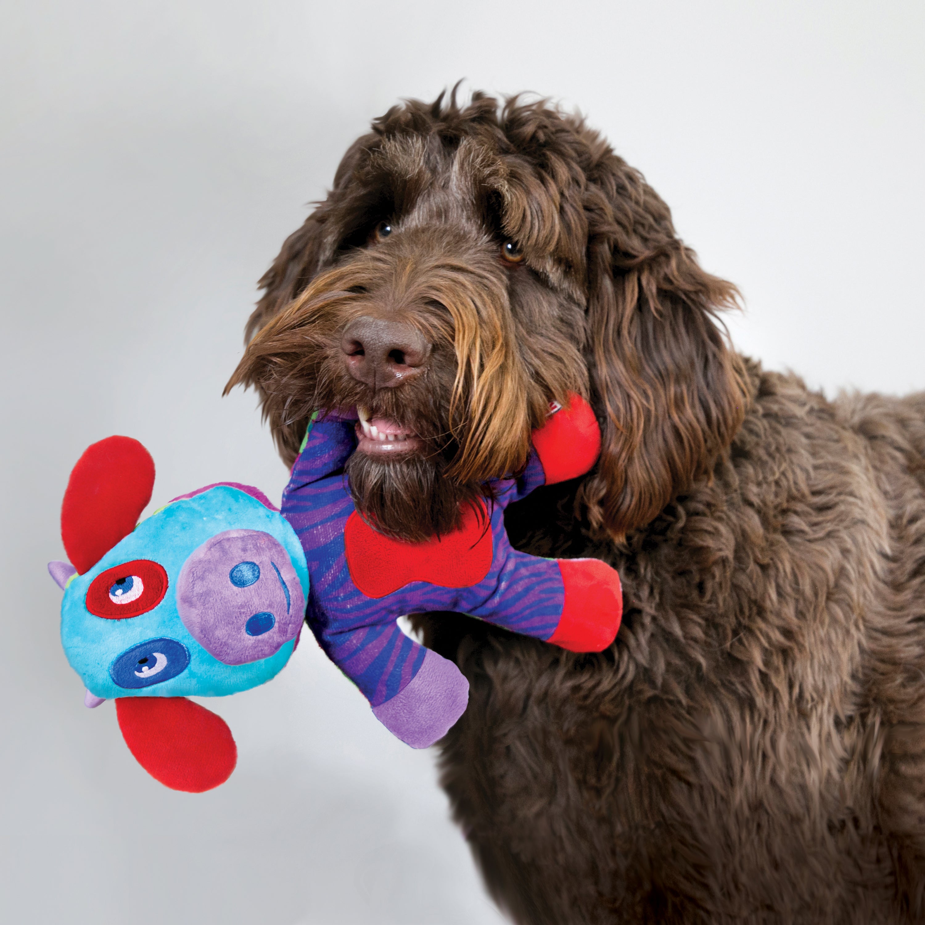 Kong Switcheroos Assorted Large Dog Toy