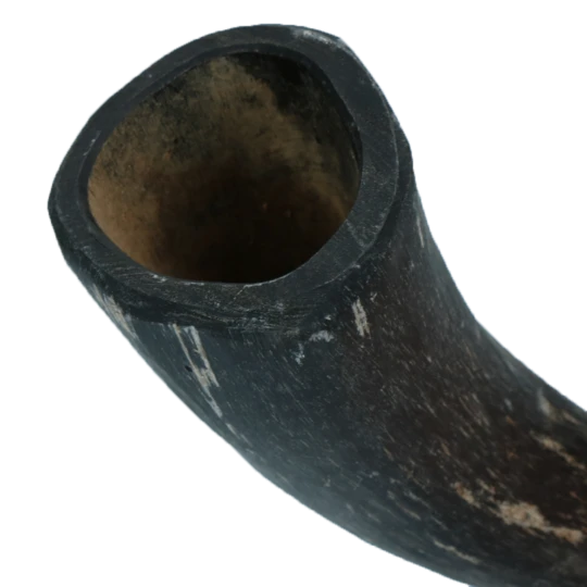 Viking whole Horn M